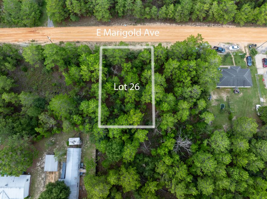 Beautiful wood lot making up approx .229 acres between DeFuniak Springs FL and Mossyhead. No HOA. Minimal Restrictions. There are no existing utilities on the lot. Well//Septic required. Power is available at the street. Property is Flood Zone X. Per the Walton GIS mapping, the property does not appear to have wetlands. Easy access to the I-10 & CR 285 south making it a great location for work no matter what direction you need to go! You will be approx. 30-45 mins to most workplaces as well as the beautiful white sandy beaches of Florida famous Emerald Gulf Coast & Crab Island.Buyer needs to verify building codes, zoning regulations, wetlands & flood zones, etc with proper local authorities to ensure buyer will be able to utilize the property for intended use. Note: Lot #27 is available, see MLS#955673. This is your chance to pick up (2) lots side by side.  Lots are listed and priced separately.  However, the seller is will to entertain offers to sell both lots to one owner.  Asking $19,000 per lot.

Information contained within this listing is deemed to be accurate but is not guaranteed.
