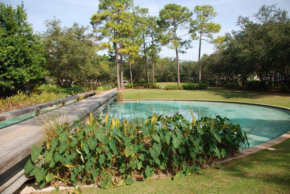 WATERCOLOR - Residential