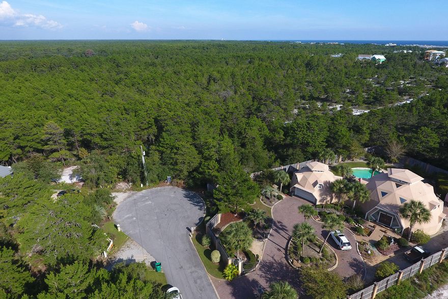 A rare opportunity to build your dream home on this 1/2 acre lot backing up to the state park. High elevation with lots of privacy and lots of space to spread out. Located within 1/2 a mile to the beach access. No build out time. Located just 1 mile to restaurants at Gulf place and 5 miles to Seaside.