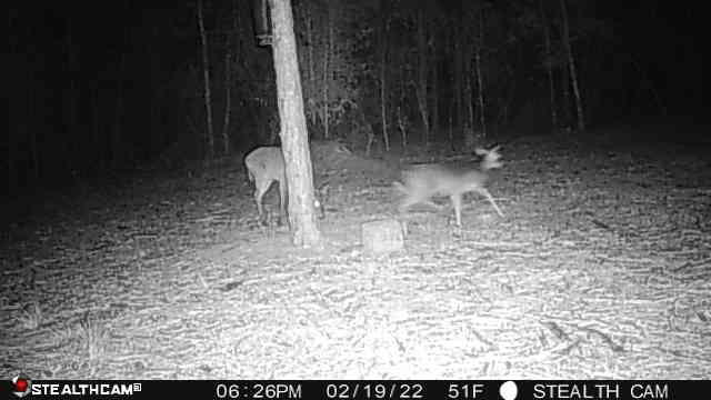 HIGHLAND ACRES - Land