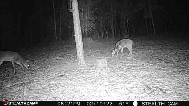 HIGHLAND ACRES - Land