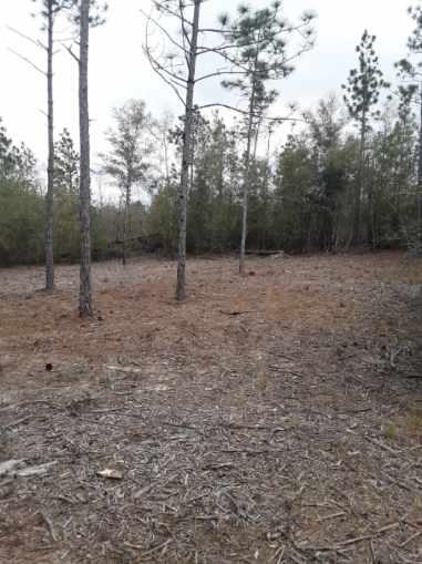 HIGHLAND ACRES - Land