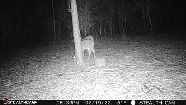 HIGHLAND ACRES - Land