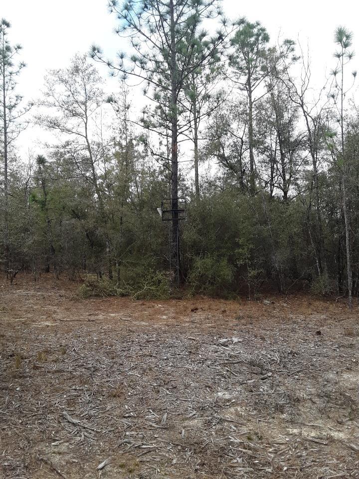 HIGHLAND ACRES - Land