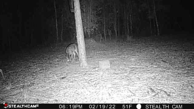 HIGHLAND ACRES - Land