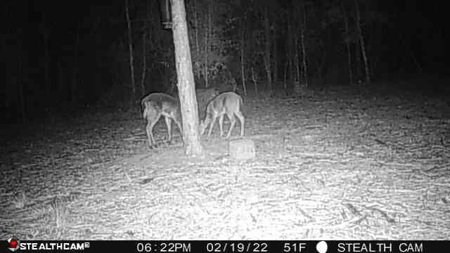 HIGHLAND ACRES - Land