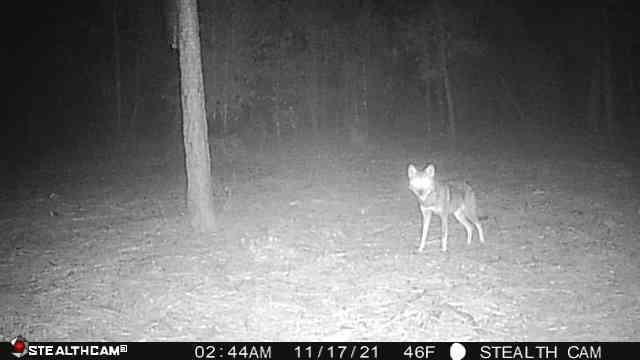 HIGHLAND ACRES - Land