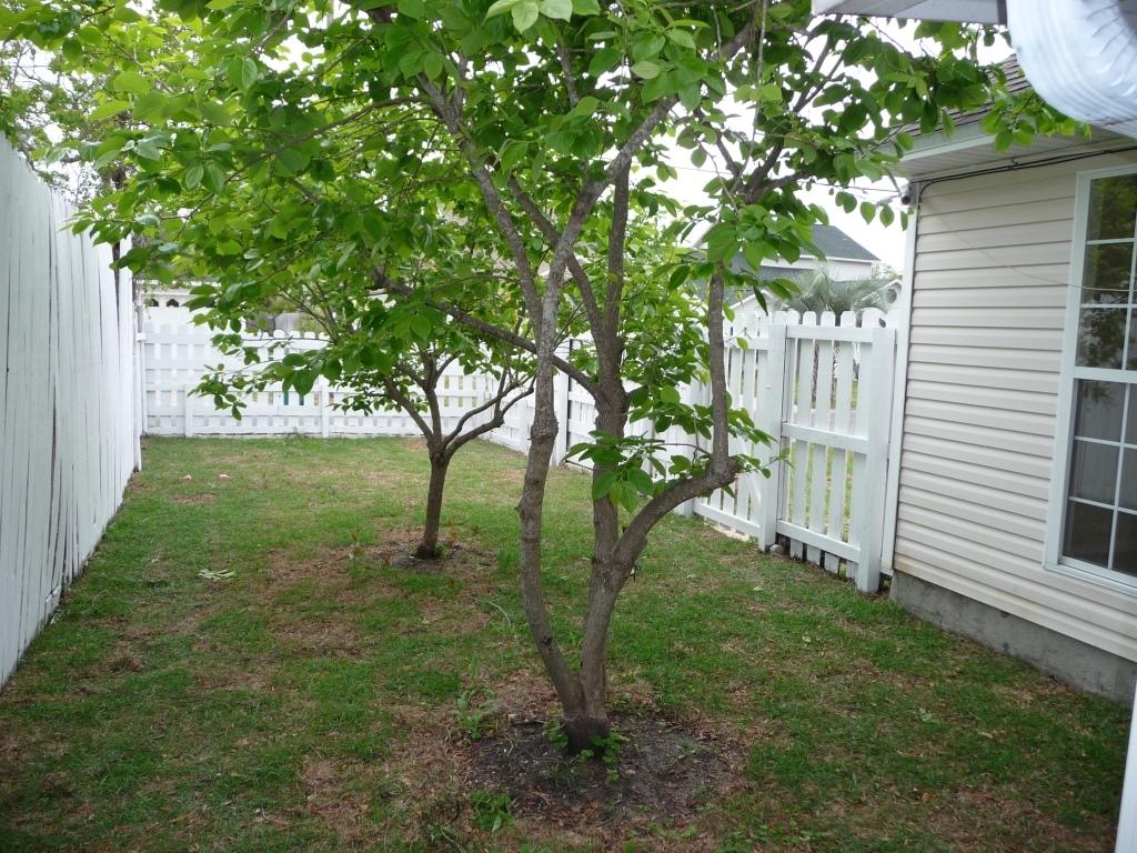 PALM HARBOR MARINA - Residential