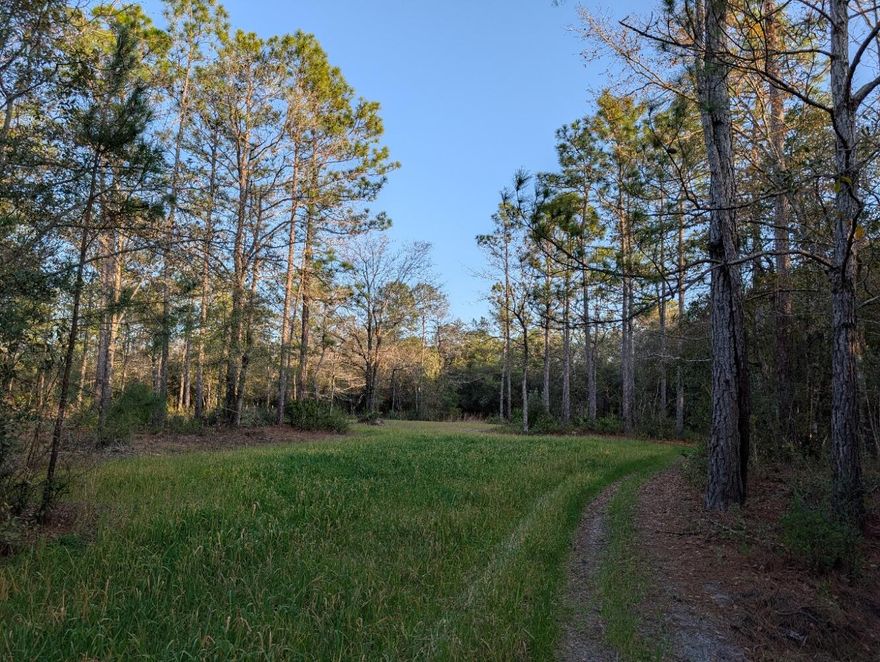 Tired of the commute? Traffic got you down? Escape to this 5.5 acre parcel east of SR 85 and south of Shoal River, only a short drive down Colonel Greg Malloy Road. The spring-fed creek, 4 food plots, and several fruit trees contribute to the abundance of wildlife. A container is on site and electricity is available at the property line. Build your home here or just use it as your private retreat.