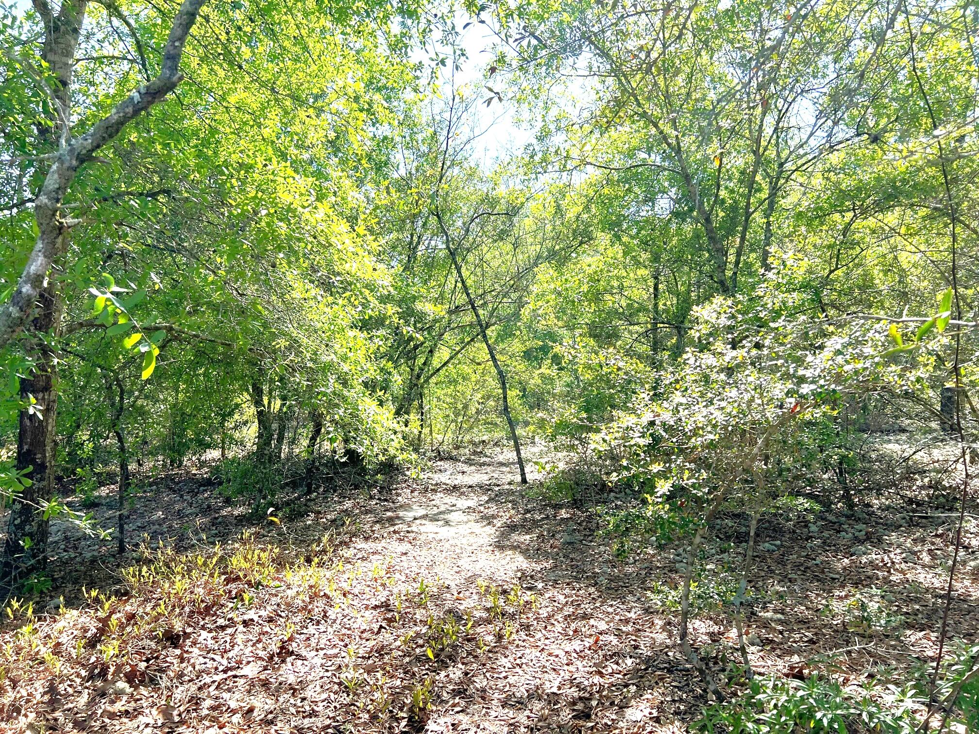 JUNIPER LAKE ESTATES UNIT 6 of Oakwood Hills - Land