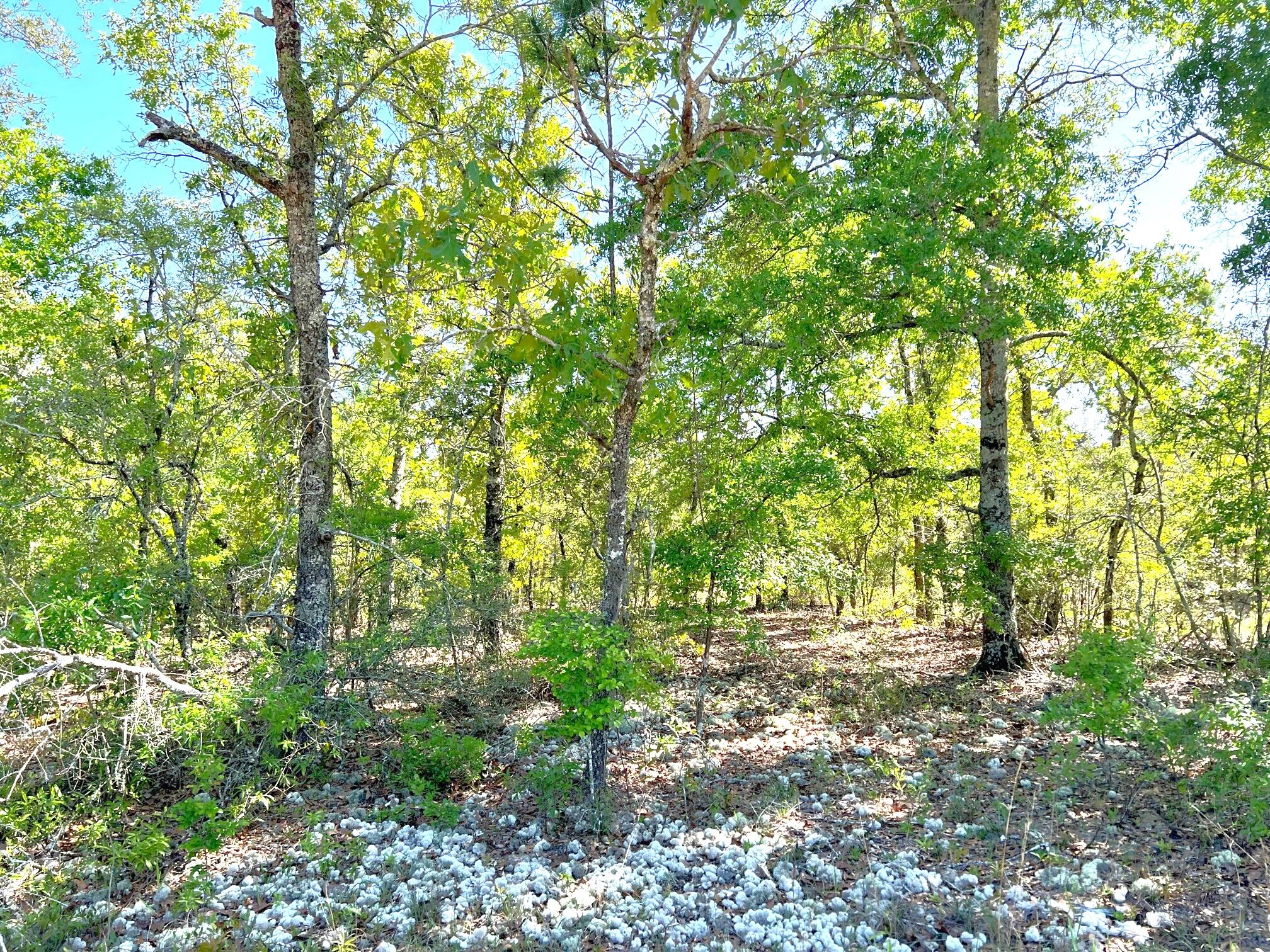 JUNIPER LAKE ESTATES UNIT 6 of Oakwood Hills - Land