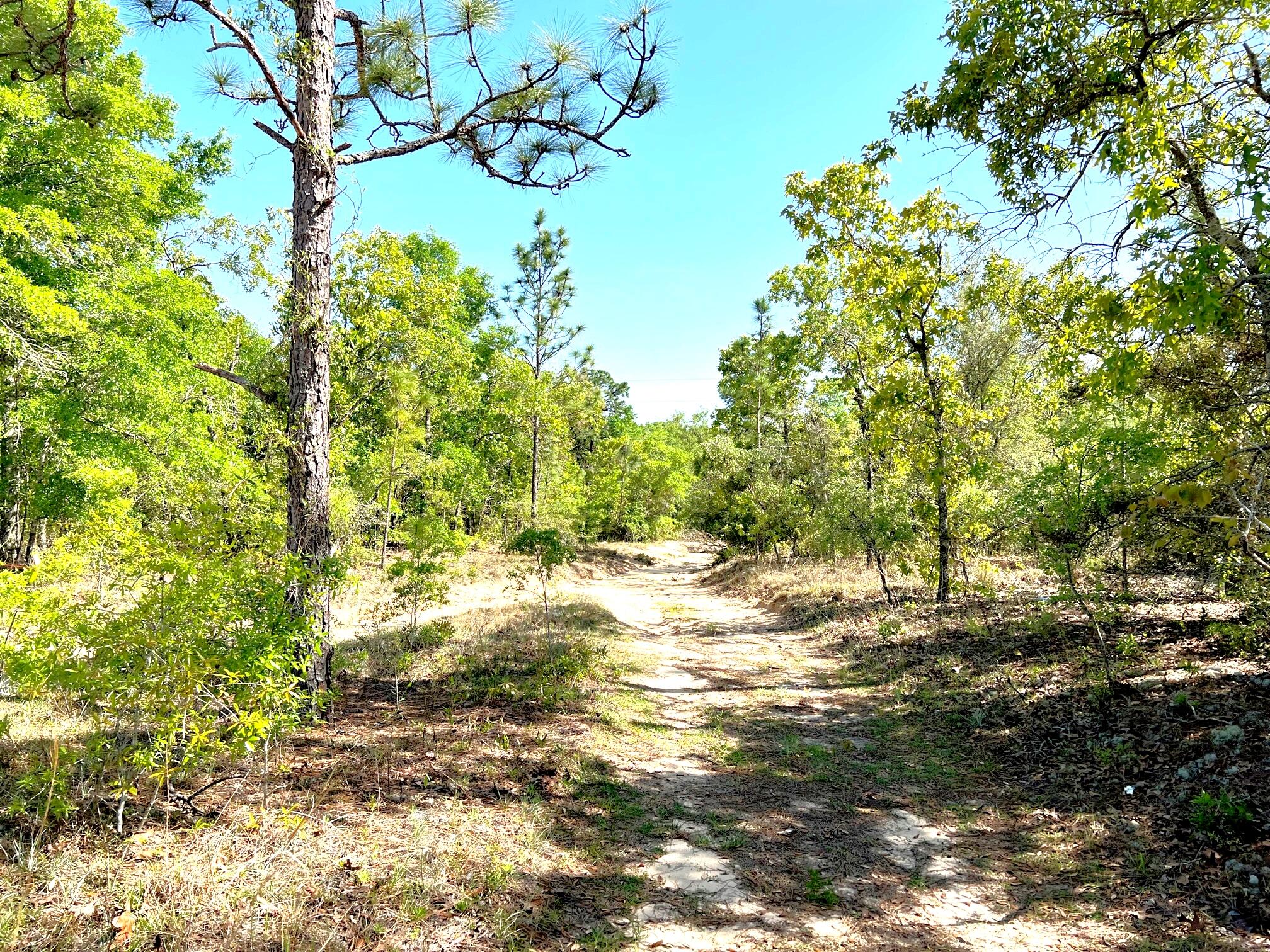 JUNIPER LAKE ESTATES UNIT 6 of Oakwood Hills - Land