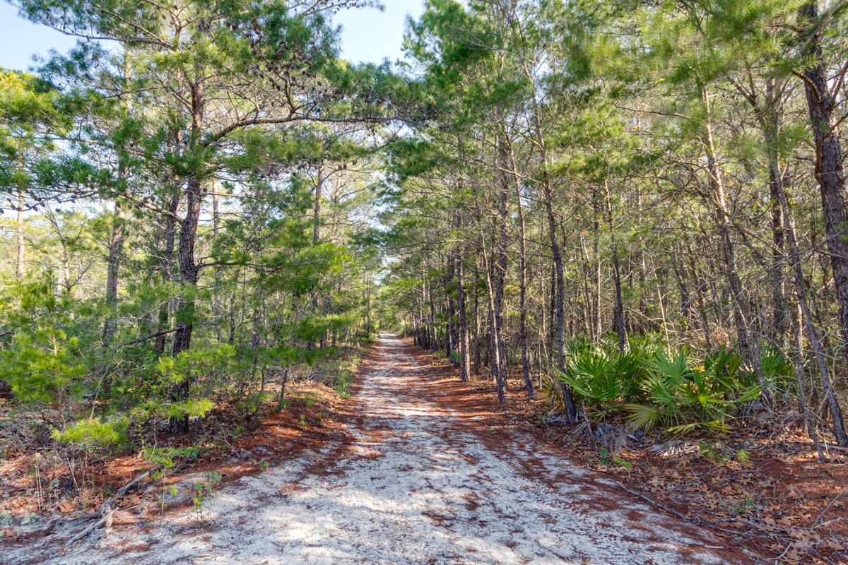 FOREST LAKES - Residential