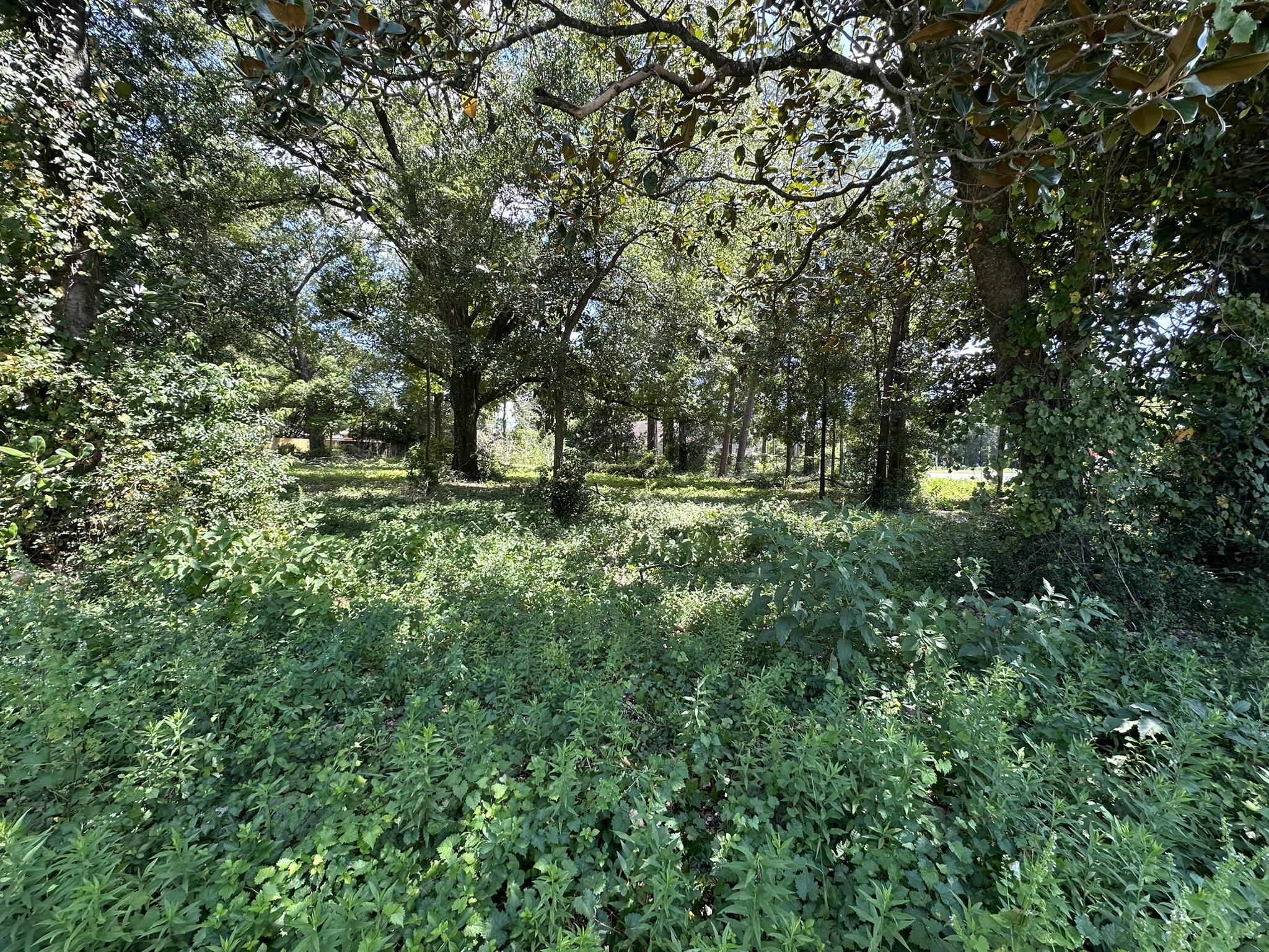 CRESTVIEW - Land