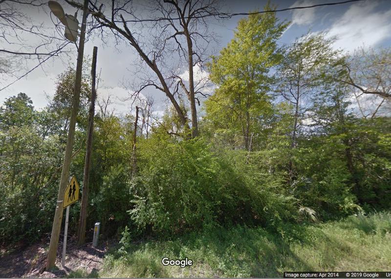 Laurel Hill (District 17) - Land