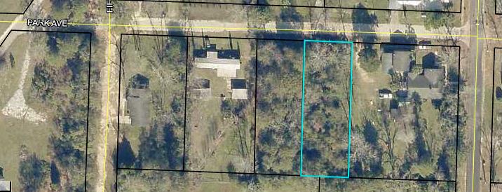 Laurel Hill (District 17) - Land