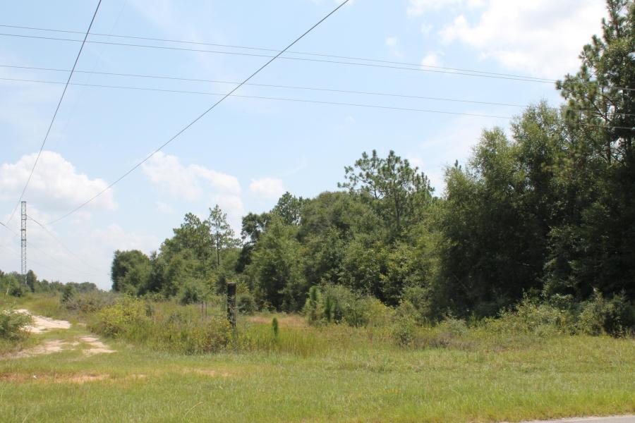 Bring your horses, cows and floor plans! Come to the country where the birds still sing and the stars shine bright! Seller will not sell outright in 2021- Seller financing, contract for deed, lease option,1 year balloon mortgage only, Jan 2022 closing date .