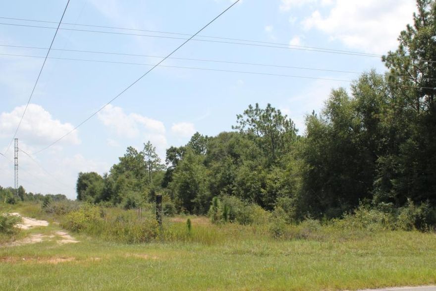 Bring your horses, cows and floor plans! Come to the country where the birds still sing and the stars shine bright! Seller will not sell outright in 2021- Seller financing, contract for deed, lease option,1 year balloon mortgage only, Jan 2022 closing date .