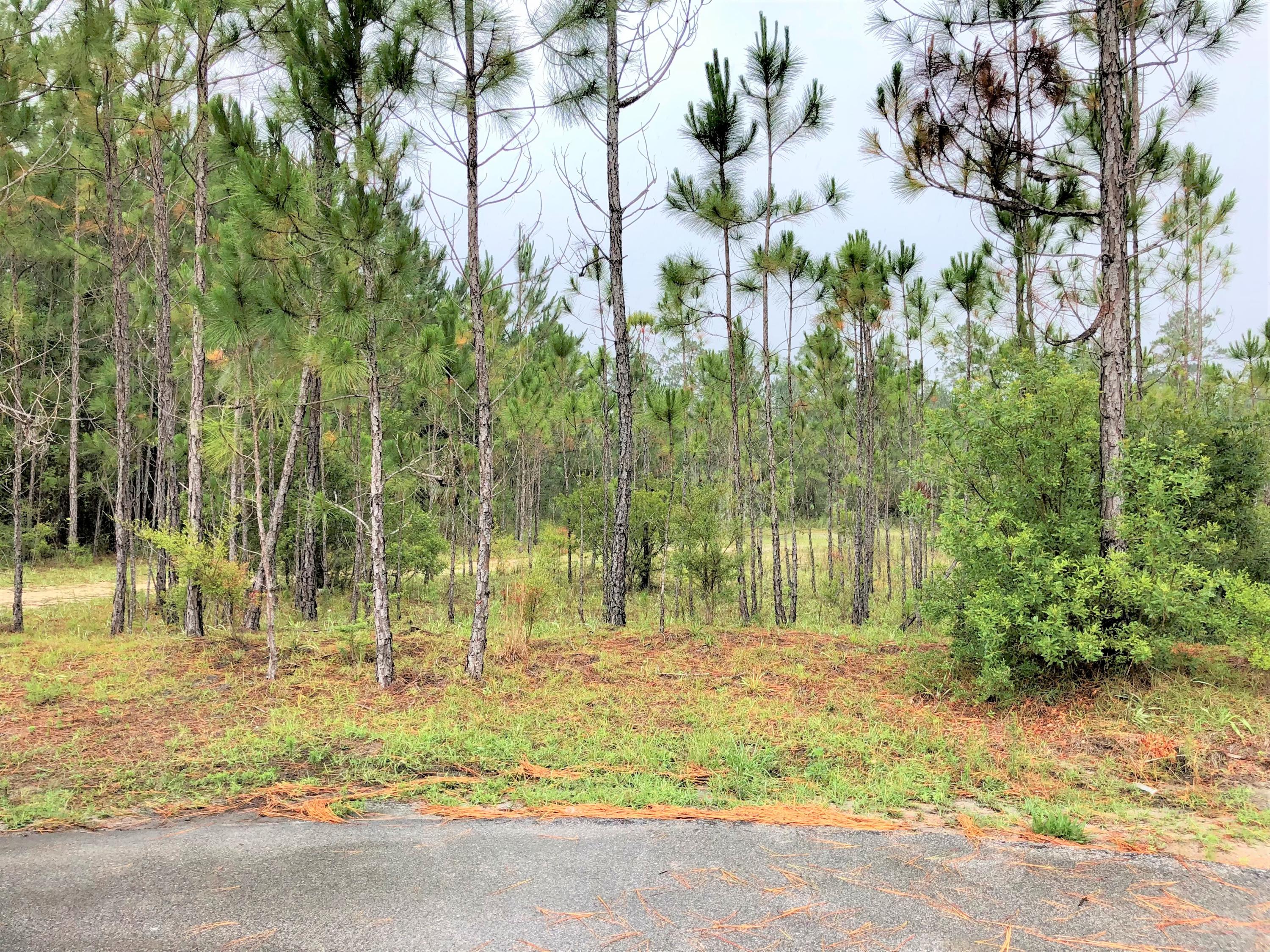 Check out this beautiful cul-de-sac lot among a 750 acre community in Freeport. Lot is nestled within the Windswept Estates, golf-course community. Enjoy the advantages of this community which includes an 18 hole golf course, 2 tennis courts, a clubhouse, swimming pool, basketball courts, and a playground area. A perfect spot to build your dream home. Lot is backed up by a natural area with a retention pond. Community has HOA that maintains all common areas and does have building restrictions. Windswept Estates is convenient to South Walton Beaches and Niceville. Buyer to perform all due-diligence.