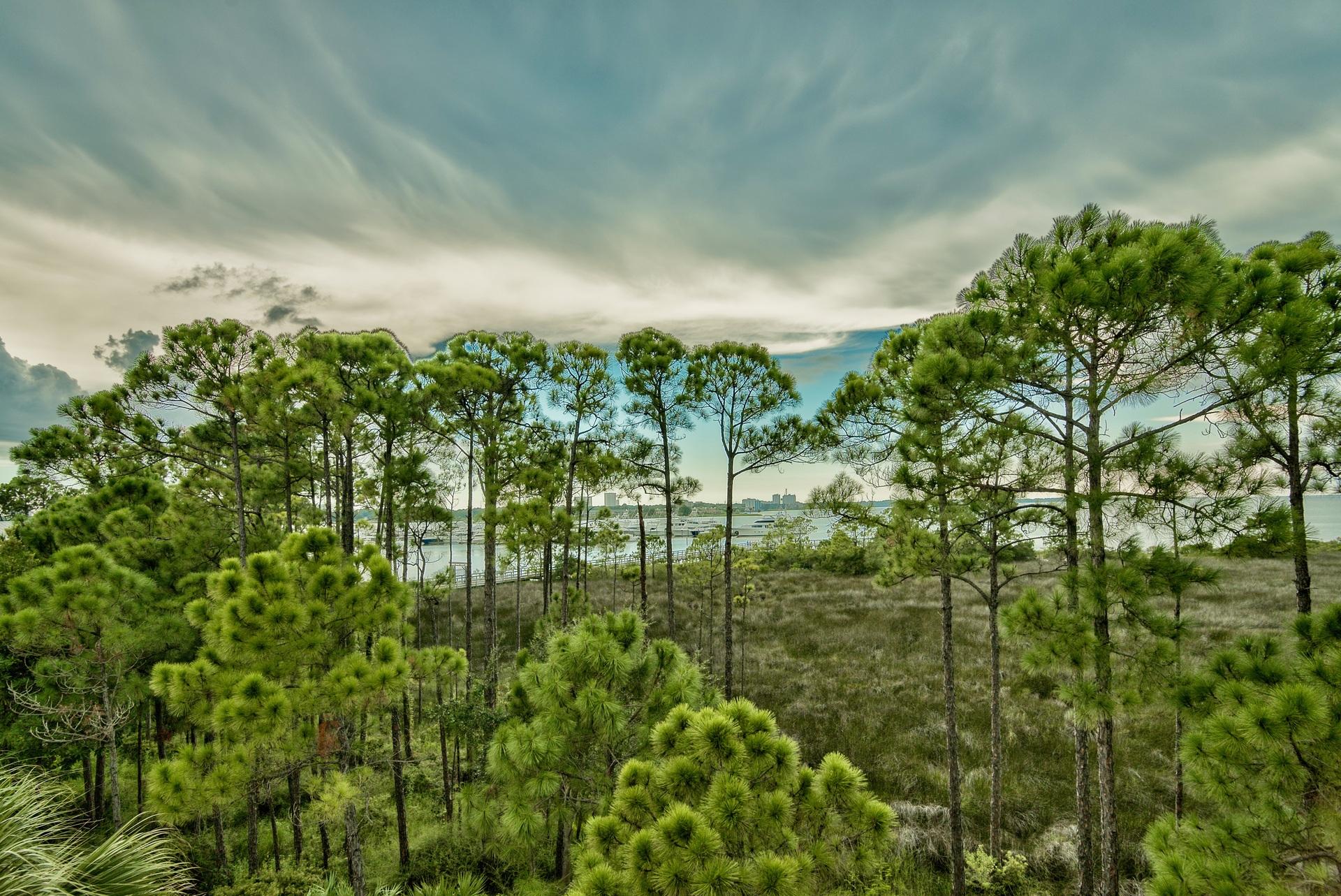 LE JARDIN - Residential