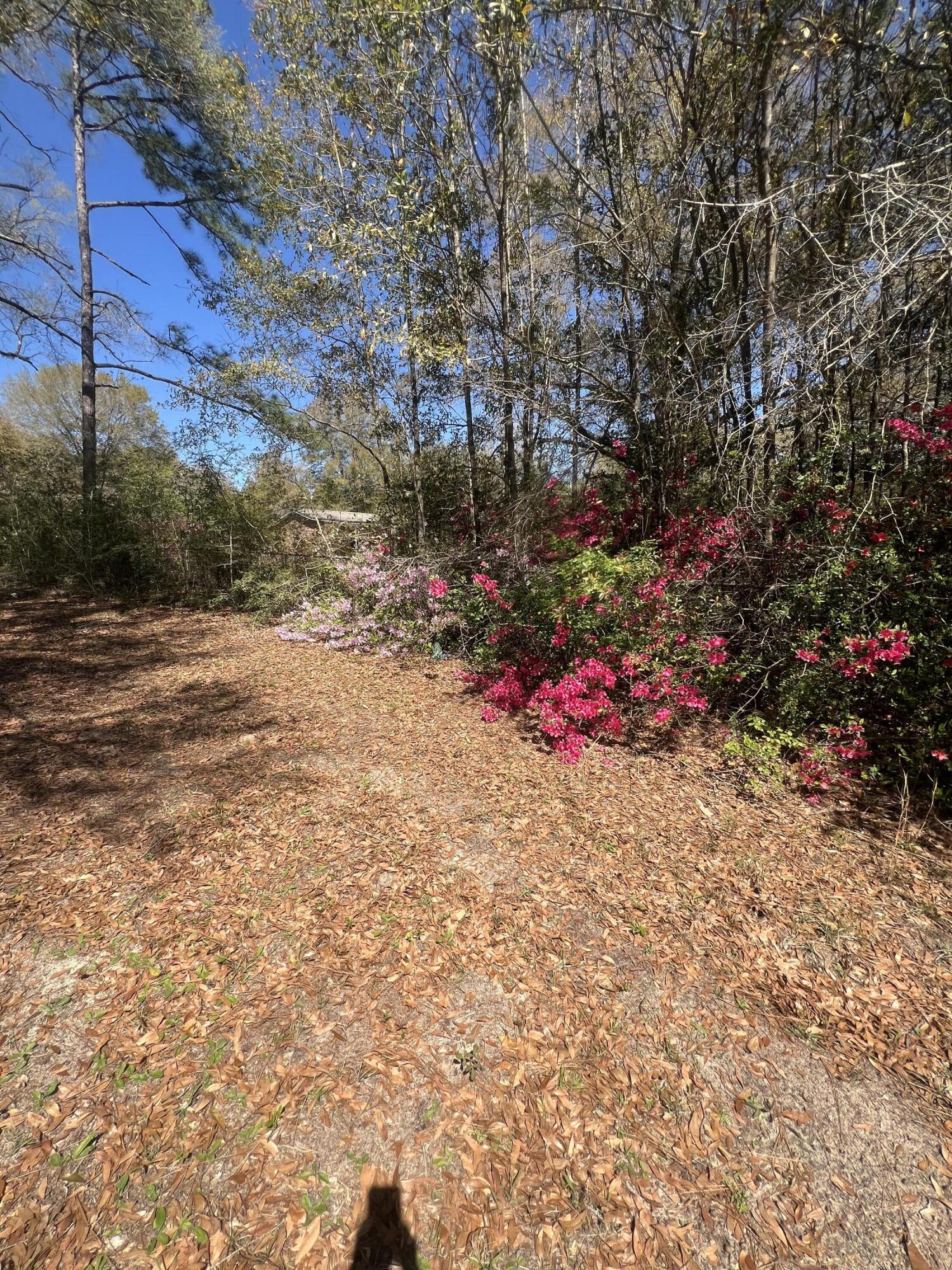 PRICE CHANGE! With over 4 acres of lush land, you have plenty of room to create something truly special. The property's location off Hwy 90 with quick access to I-10 is an added bonus for convenience, and having utilities like water, electricity, and gas already accessible makes the building process a lot smoother. The existing house may not hold value, but the foundation could definitely serve as a strong base for a large barn or workshop, offering lots of flexibility in terms of what you can build. Come see this land today!
