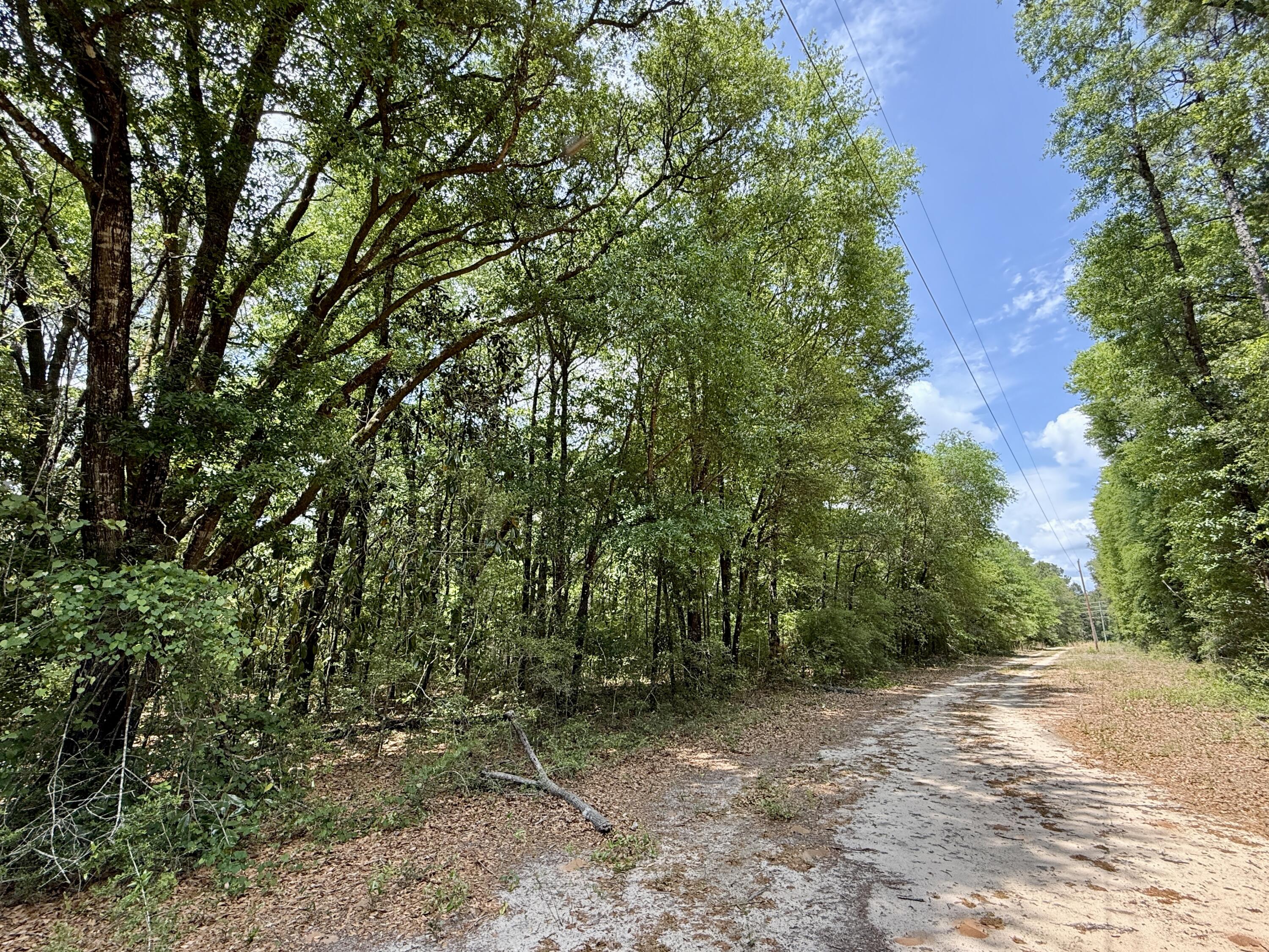 METES & BOUNDS - Land