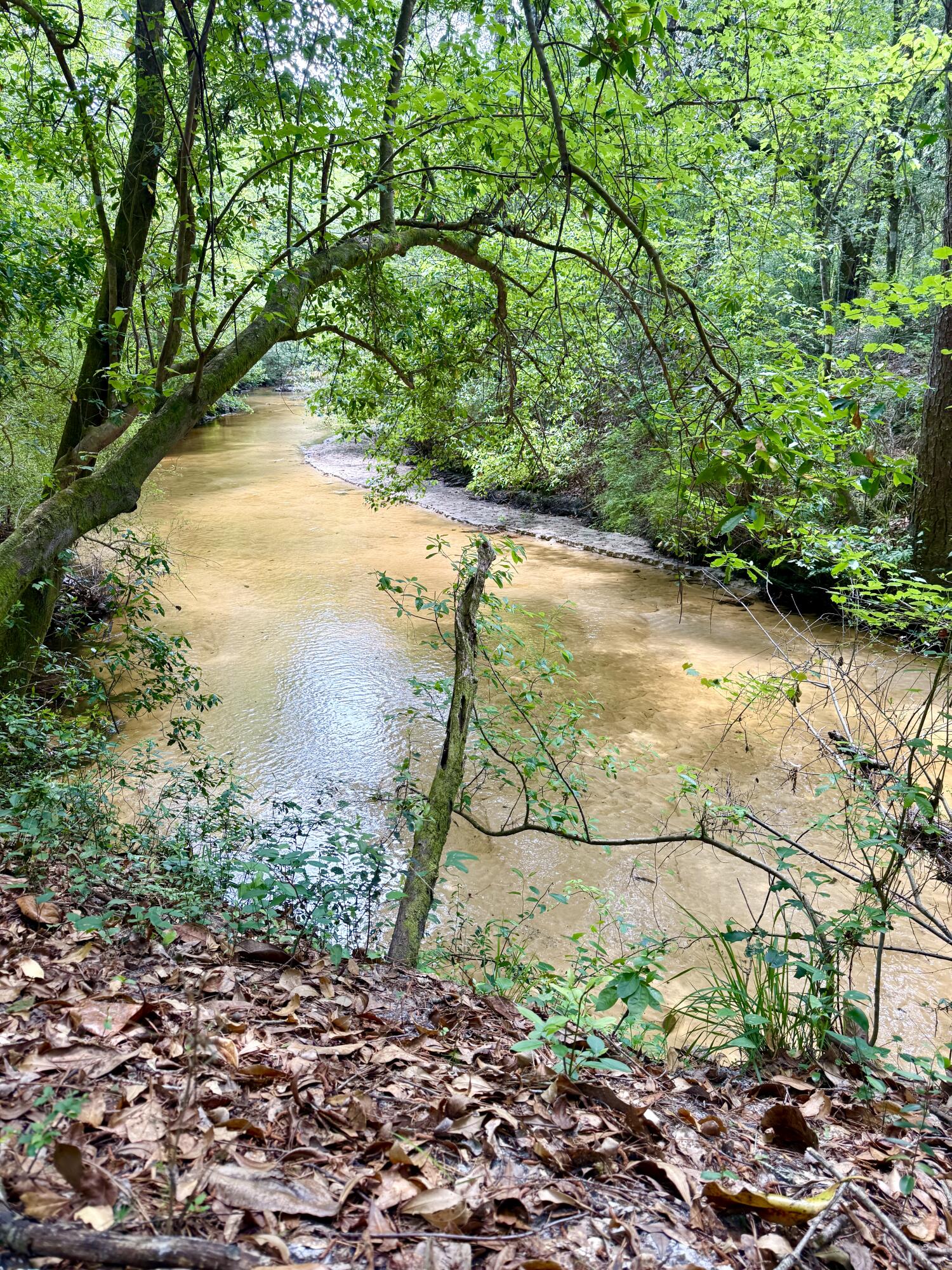 Truly unique opportunity for dual zoned 50 acres. A rare 25 commercial zoned high and dry acres on busy Hwy 331N less than 10 minutes north of DeFuniak Springs. Coupled with an additional 25 acres zoned agricultural with an absolutely gorgeous sandy bottom creek running through it. An ideal ''live and work'' situation, so close to the beach (just 45 minutes) with plenty of quiet. What could you create? Optimal location for an RV Park with zoning in place and an unequaled pristine, serene setting with creek and mature tree canopy. Or Perhaps a tiny home community. 3800 DailyTraffic Count per FDOT. So many possibilities - the sky is the limit. Or simply enjoy it as your recreational getaway from the hectic pace of your current