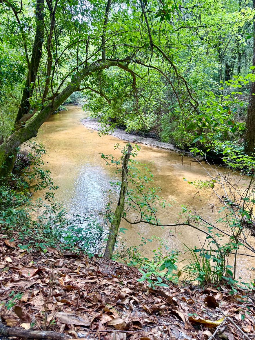 Truly unique opportunity for dual zoned 50 acres. A rare 25 commercial zoned high and dry acres on busy Hwy 331N less than 10 minutes north of DeFuniak Springs. Coupled with an additional 25 acres zoned agricultural with an absolutely gorgeous sandy bottom creek running through it. An ideal ''live and work'' situation, so close to the beach (just 45 minutes) with plenty of quiet. What could you create? Optimal location for an RV Park with zoning in place and an unequaled pristine, serene setting with creek and mature tree canopy. Or Perhaps a tiny home community. 3800 DailyTraffic Count per FDOT. So many possibilities - the sky is the limit. Or simply enjoy it as your recreational getaway from the hectic pace of your current