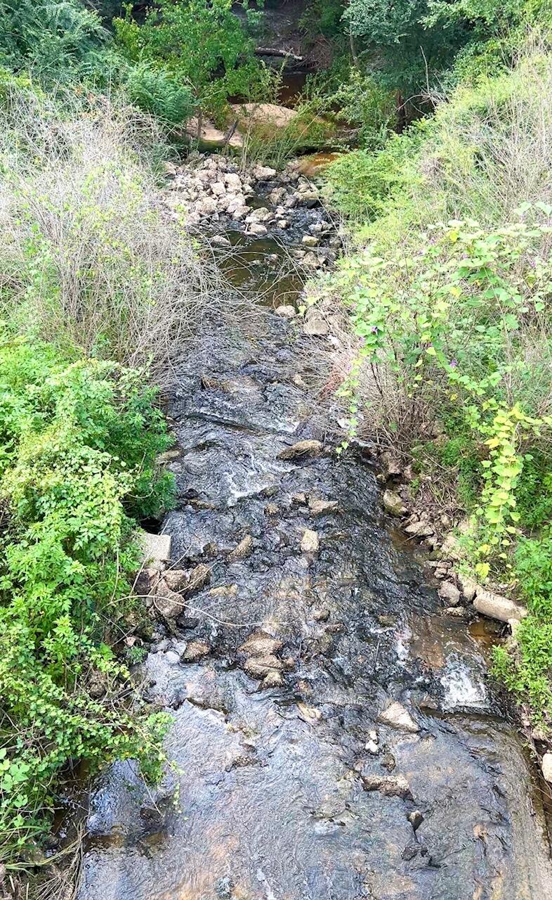 METES & BOUNDS - Land