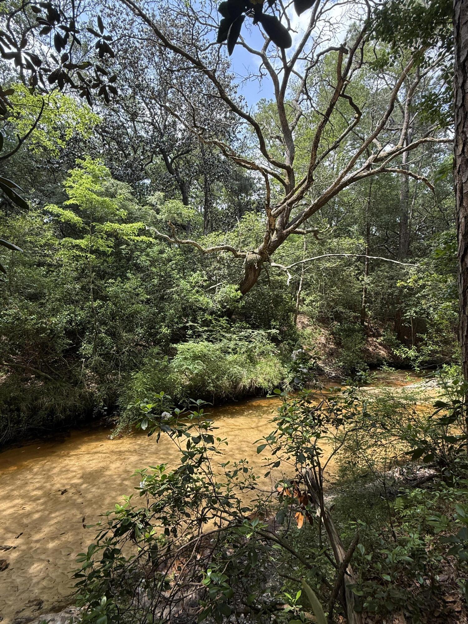 METES & BOUNDS - Land