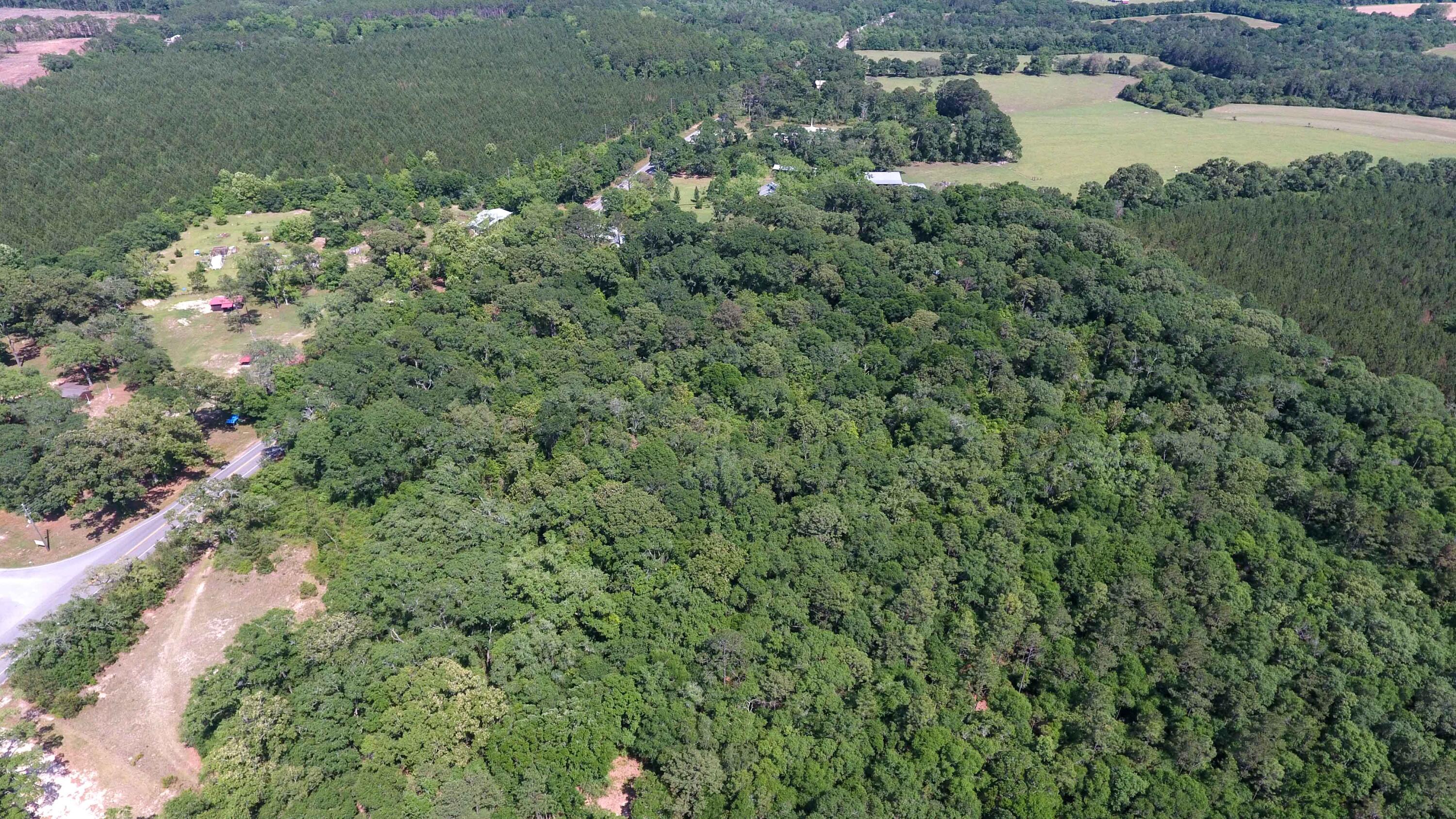 METES & BOUNDS - Land