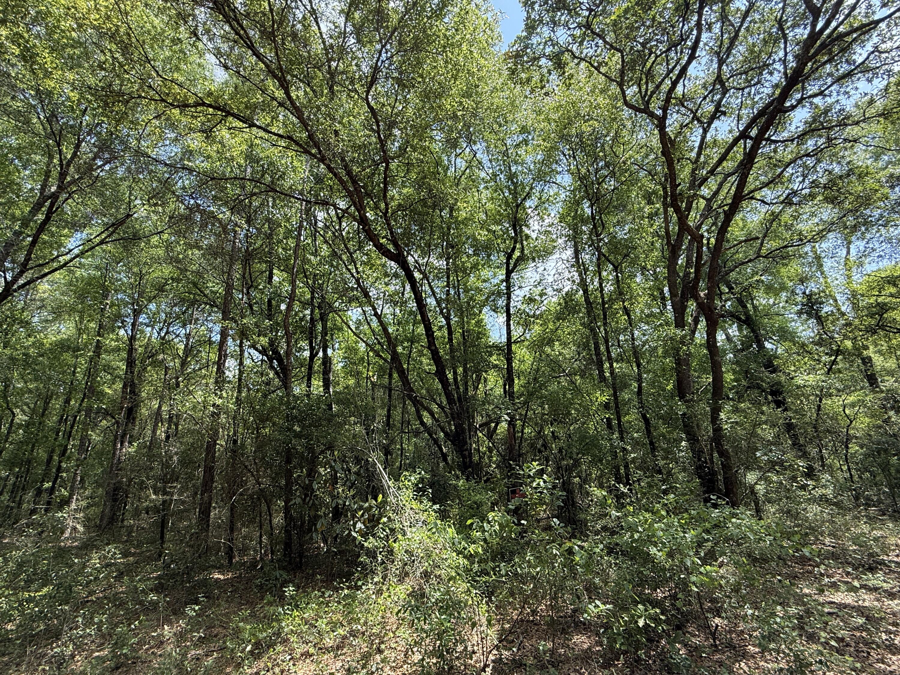 METES & BOUNDS - Land