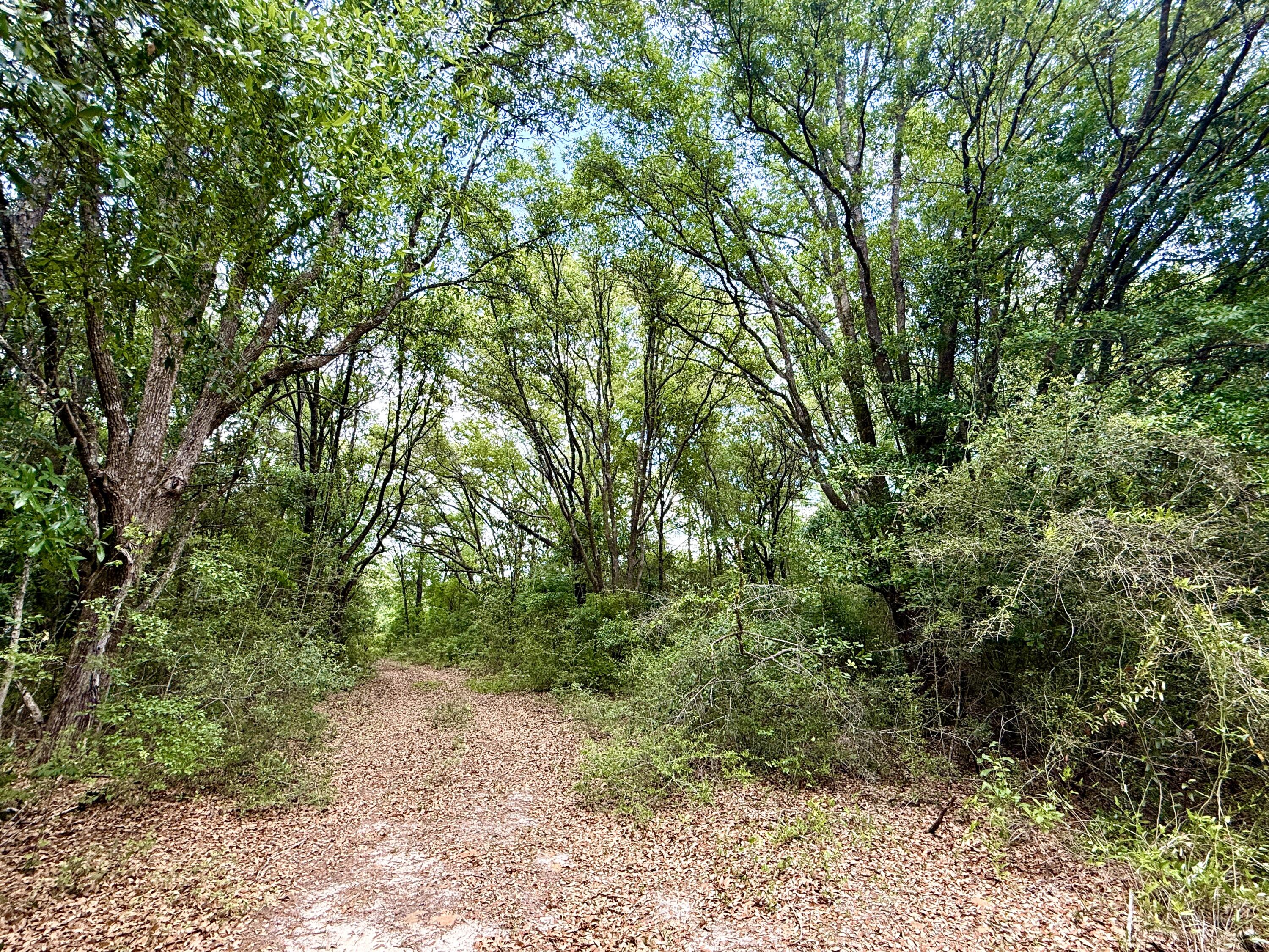 METES & BOUNDS - Land