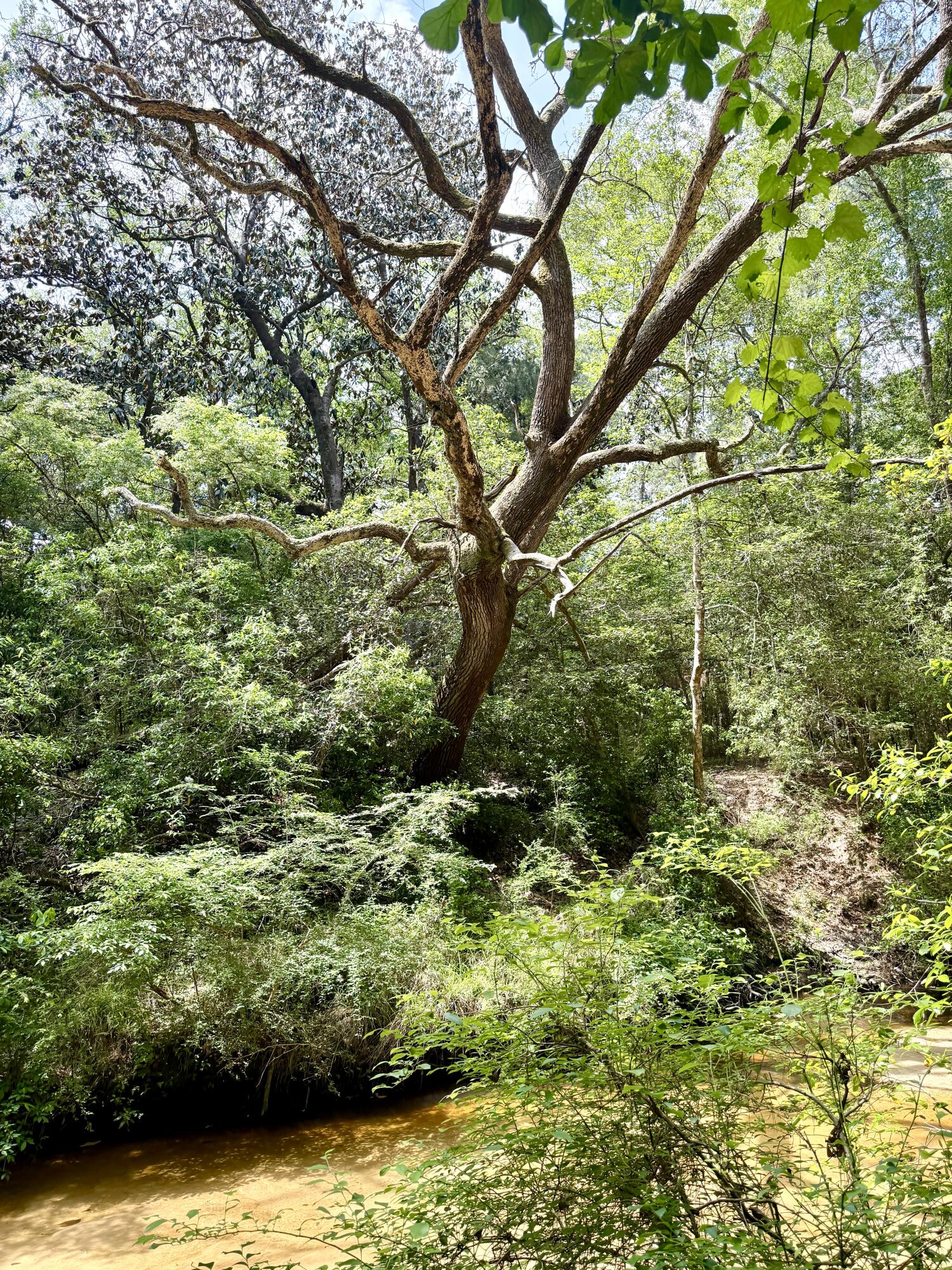 METES & BOUNDS - Land