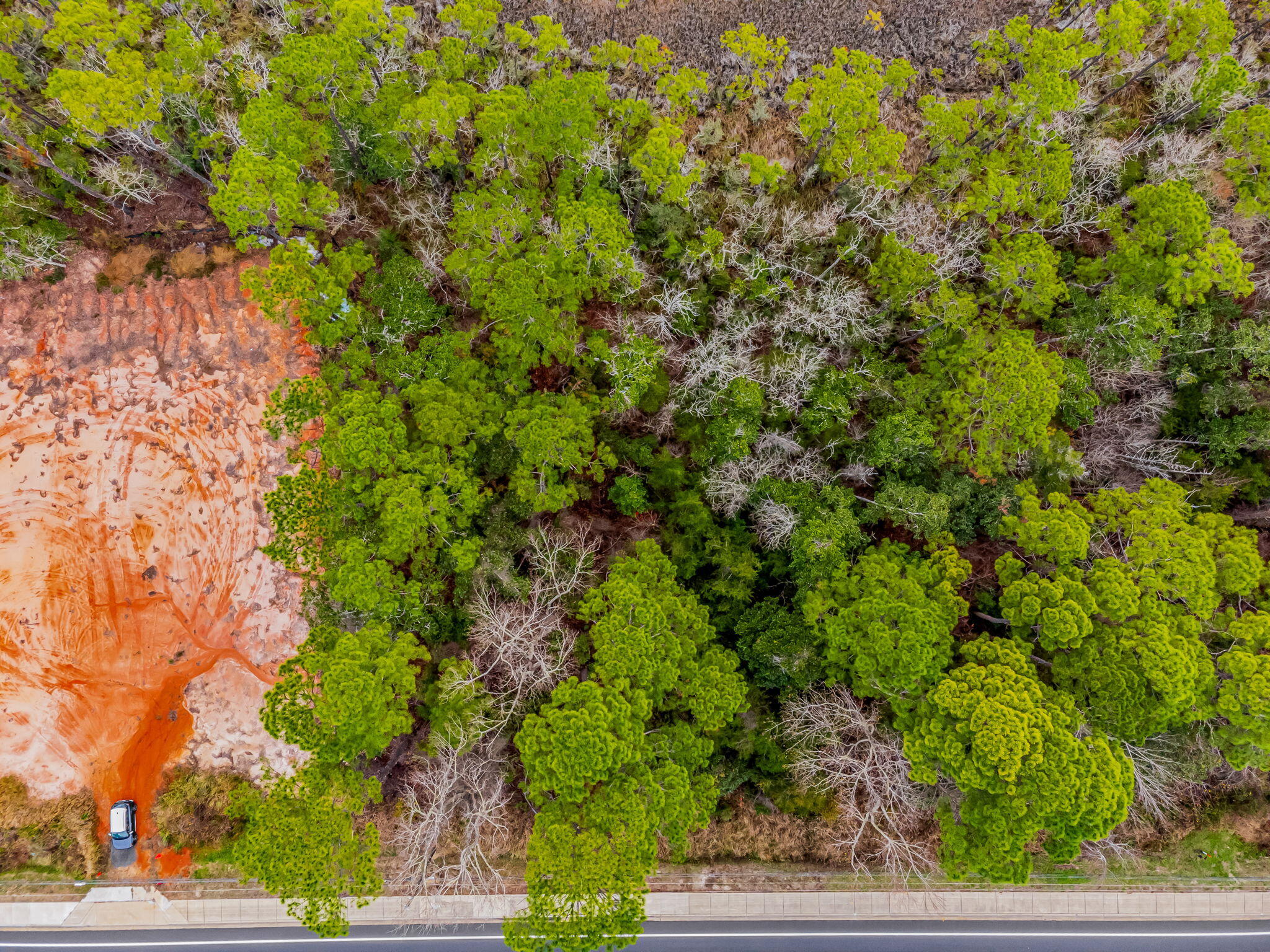 Holley/Navarre - Land