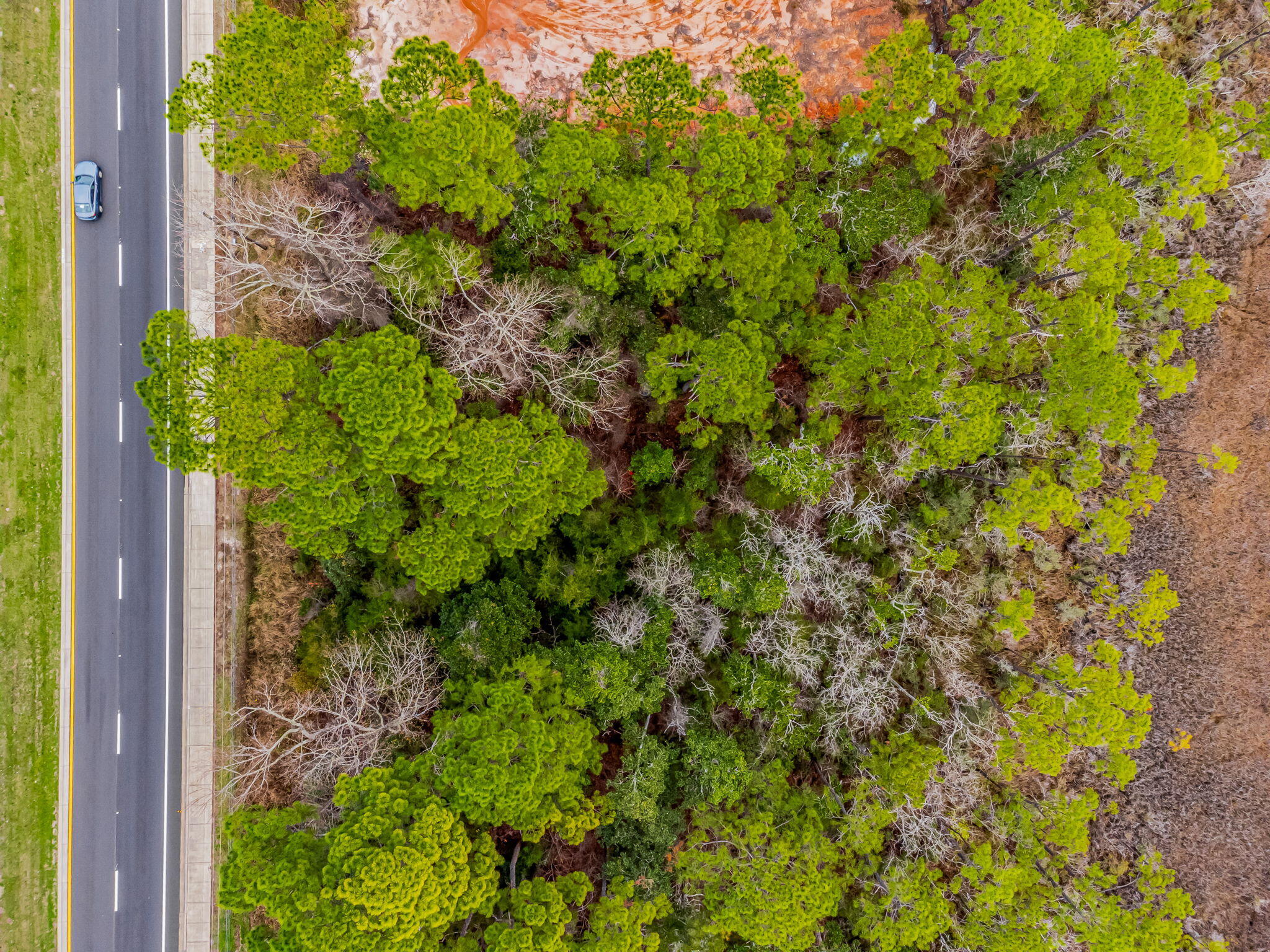 Holley/Navarre - Land