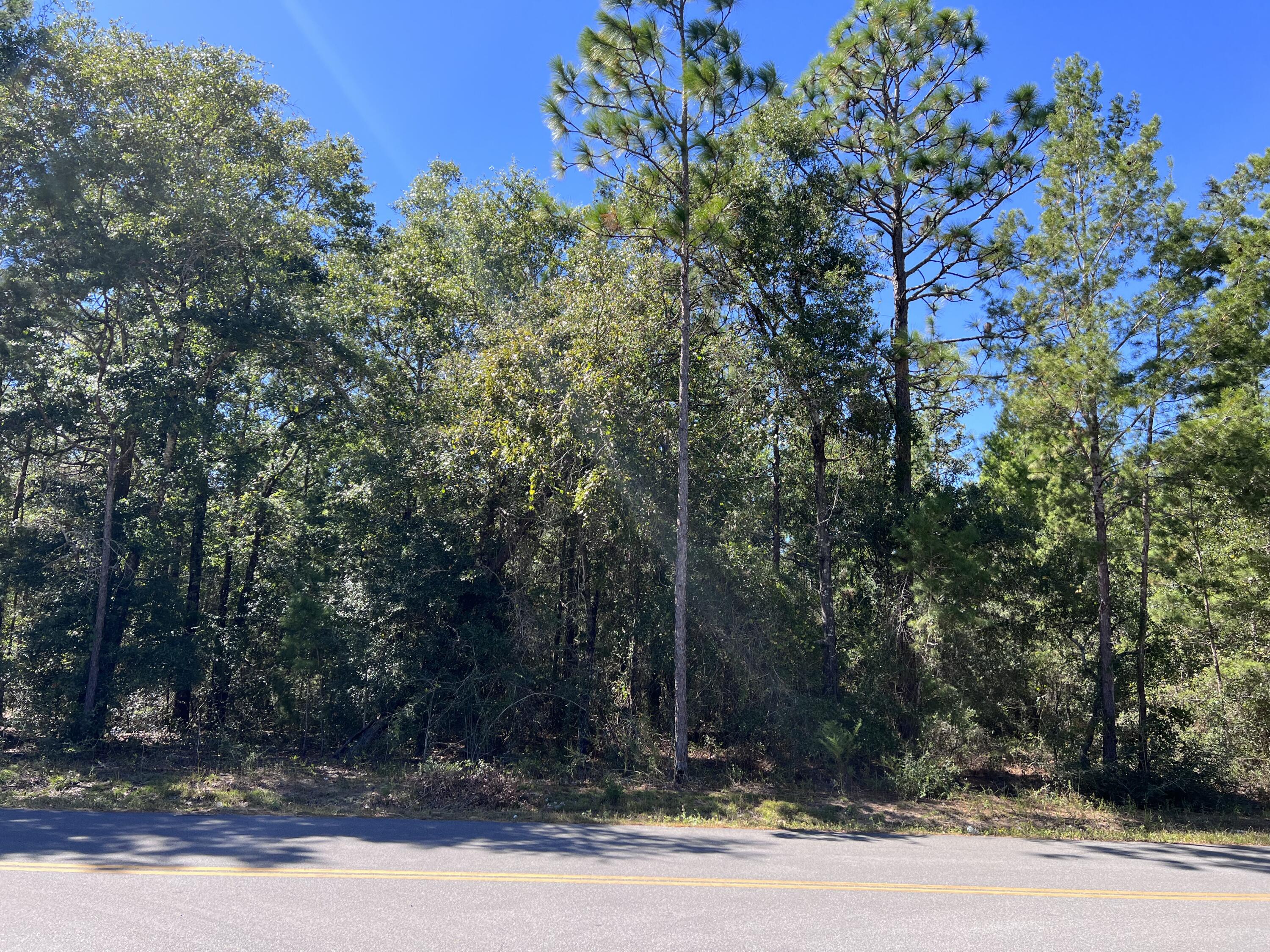 Back on the Market No Fault of Seller. Dont miss out on this beautiful level lot located on Howlin Rd (paved county rd). No restrictions, so bring your building plans or mobile home. Located off of Hwy 90 and minutes away from Hwy 285, 331 and I10.