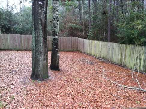 MORRIS ADDN TO CRESTVIEW - Residential Lease