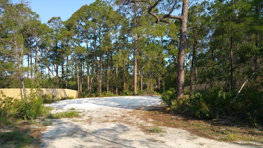 Build your dream home. LARGE 75x150 cleared and root raked lot south of 30A in South Walton, FL. 300 yards to the Gulf of Mexico. No HOA, no covenants and restrictions, no build out time. Lake front located on build able non Coastal Dune Lake, Lake Tresca, dock allowed.Very private. Situated in the heart of a residential neighborhood on a quiet side street with no through traffic. Natural visual buffer provided by wooded county right of way.Tap fee paid. Sewer lines and required grinder installed. Power T pole installed. Lot cleared, select tall pines remain. 300 ft of 6 foot tall wooden fence on 2 sides of property. Lot filled/initial grading performed, six 21 yard dump truck loads of beach white sand. Wetland delineation survey completed. Secure your piece of paradise