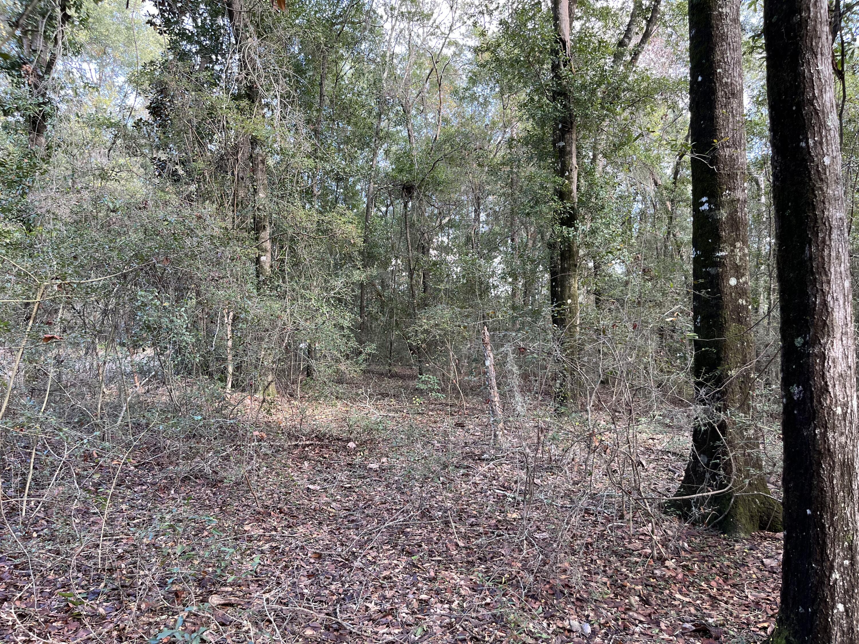 JUNIPER LAKE UNREC - Land