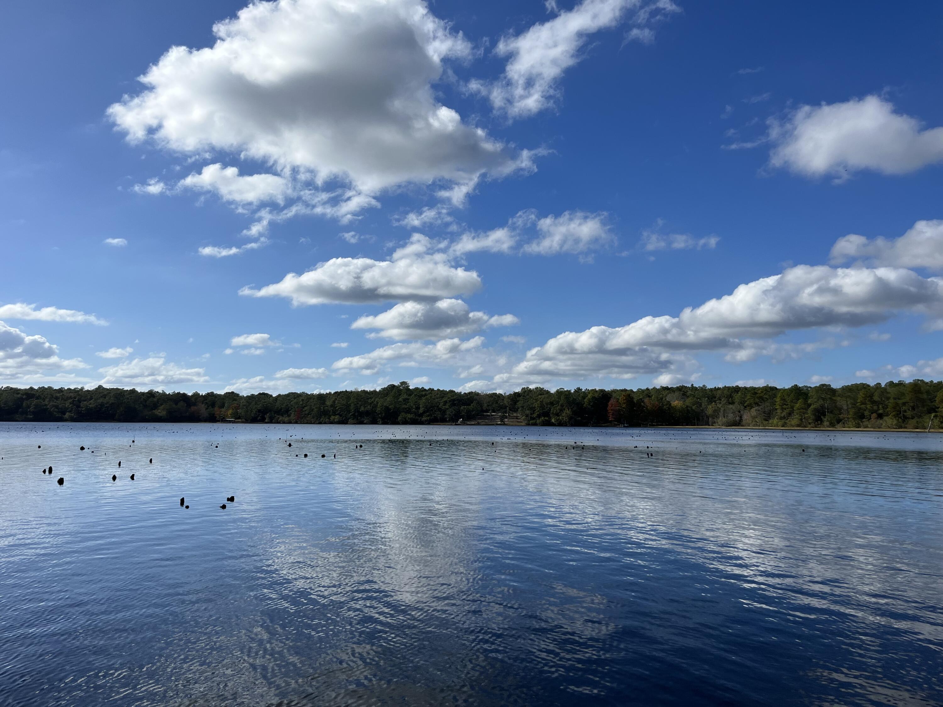 JUNIPER LAKE UNREC - Land