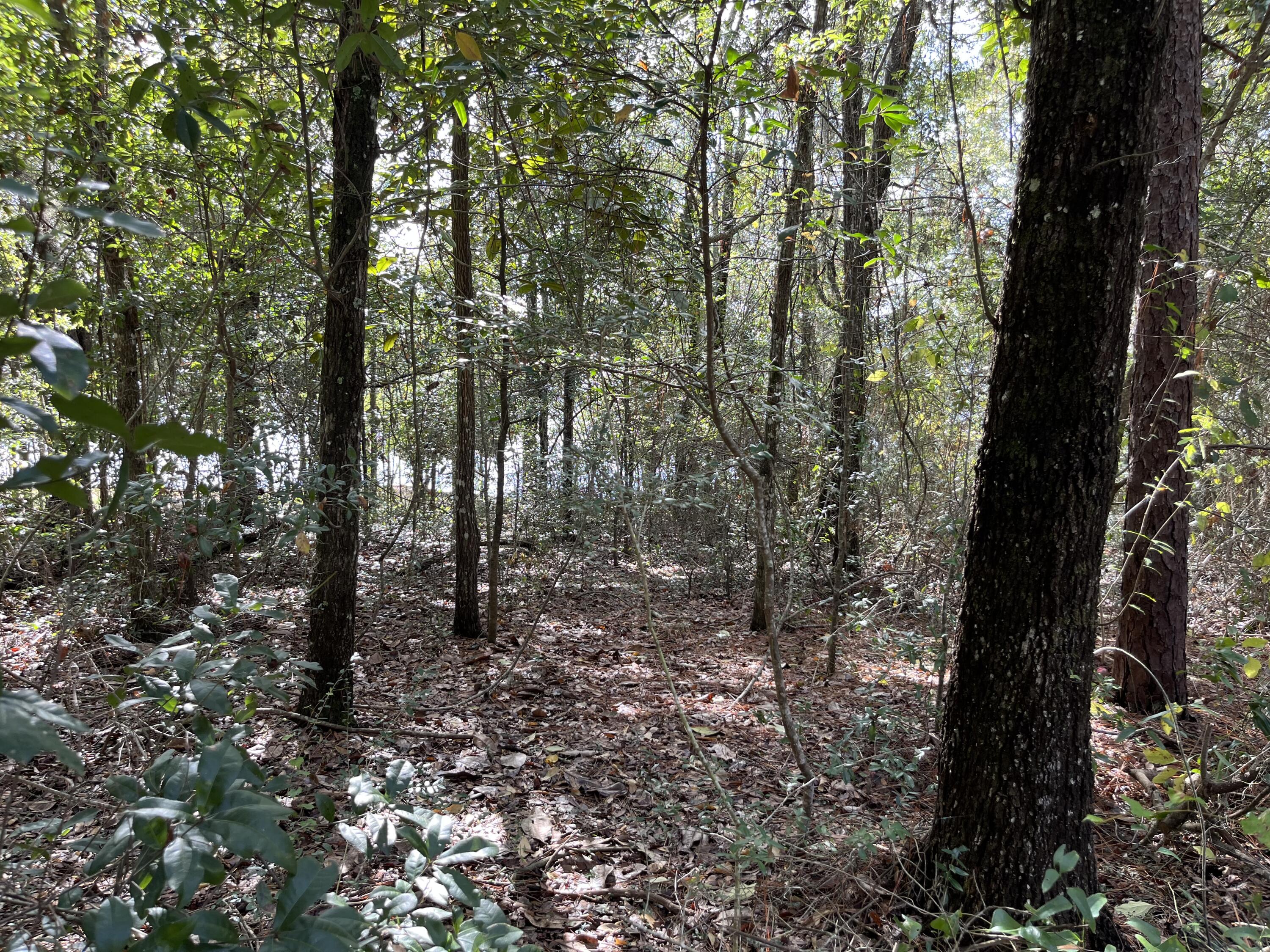 JUNIPER LAKE UNREC - Land