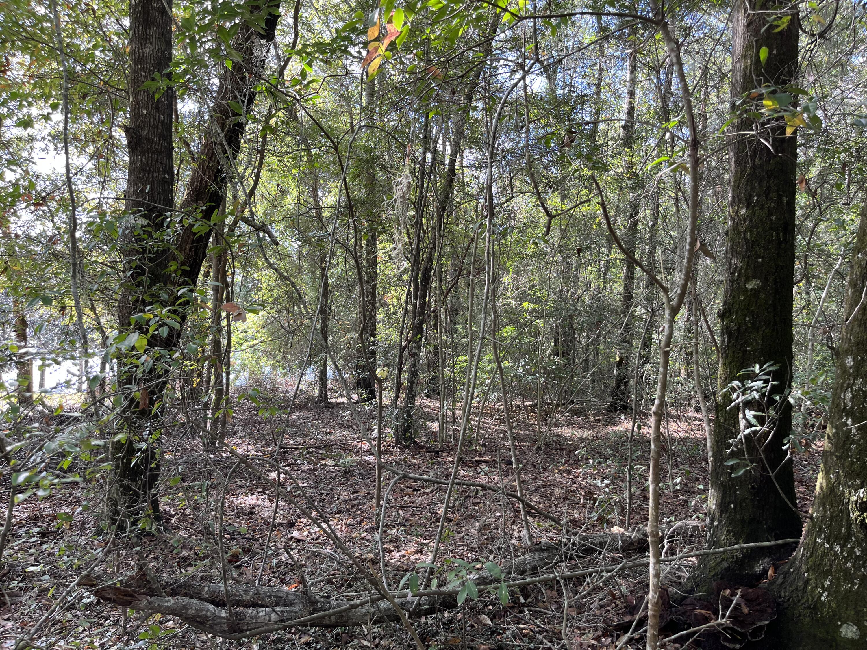 JUNIPER LAKE UNREC - Land