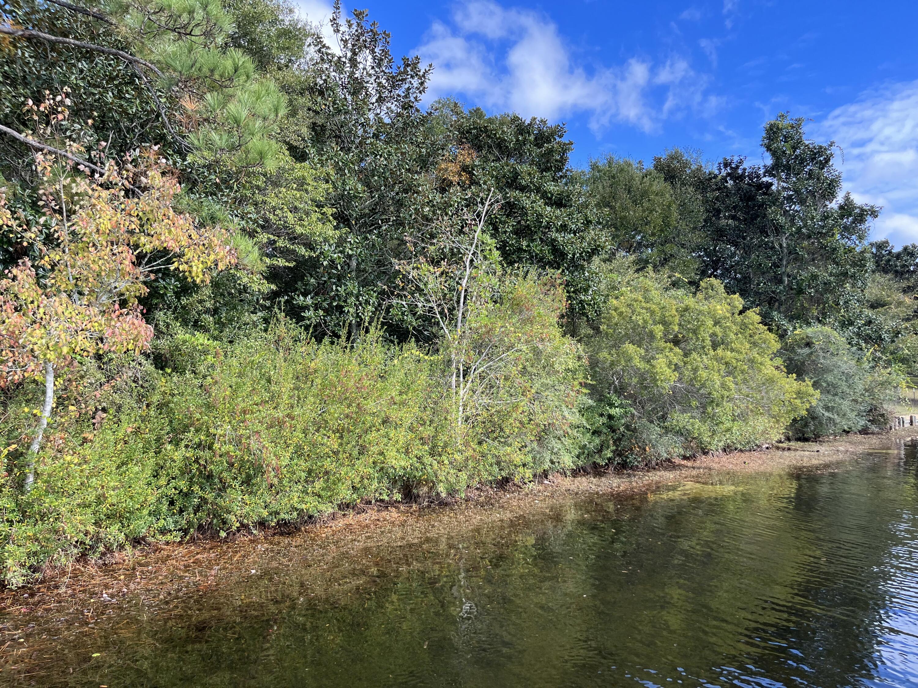 JUNIPER LAKE UNREC - Land