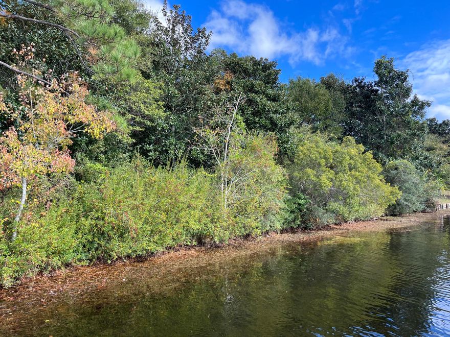 *Lake Front * Approximately one acre parcel/lot on Juniper Lake * Lake Juniper Park is located at the end of Cat Island Rd.