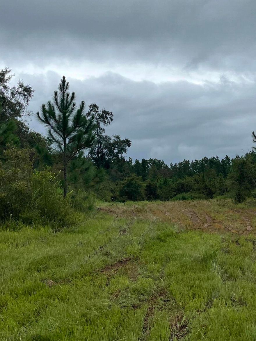 Don't miss this stunning piece of property next to Blackwater Forest. Parcel is partially cleared ready for you to build your country retreat. Approx, 3.5 Acres Owner will consider selling a larger piece up to7.5 acres.