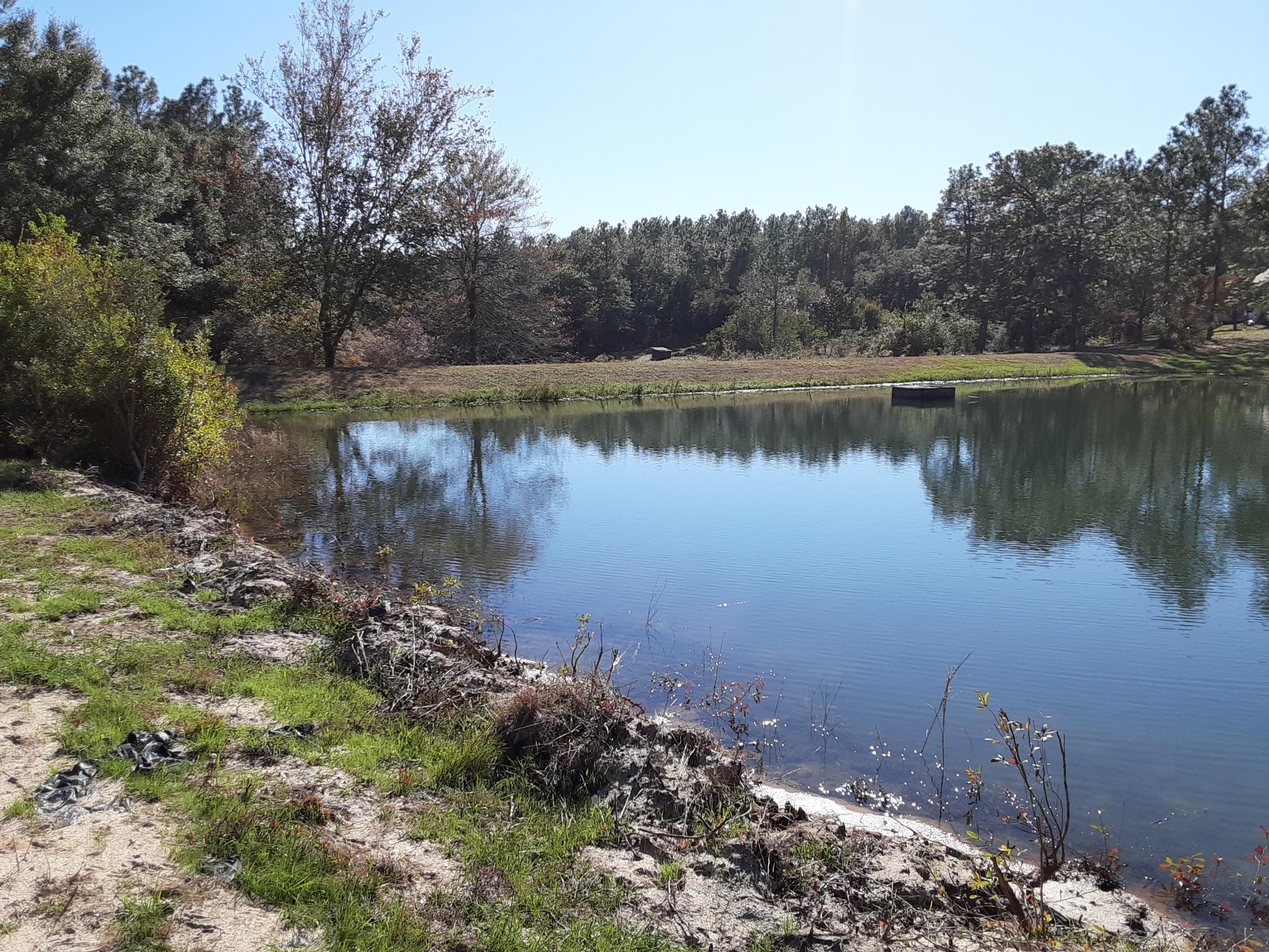 KENNEDY LAKES - Land