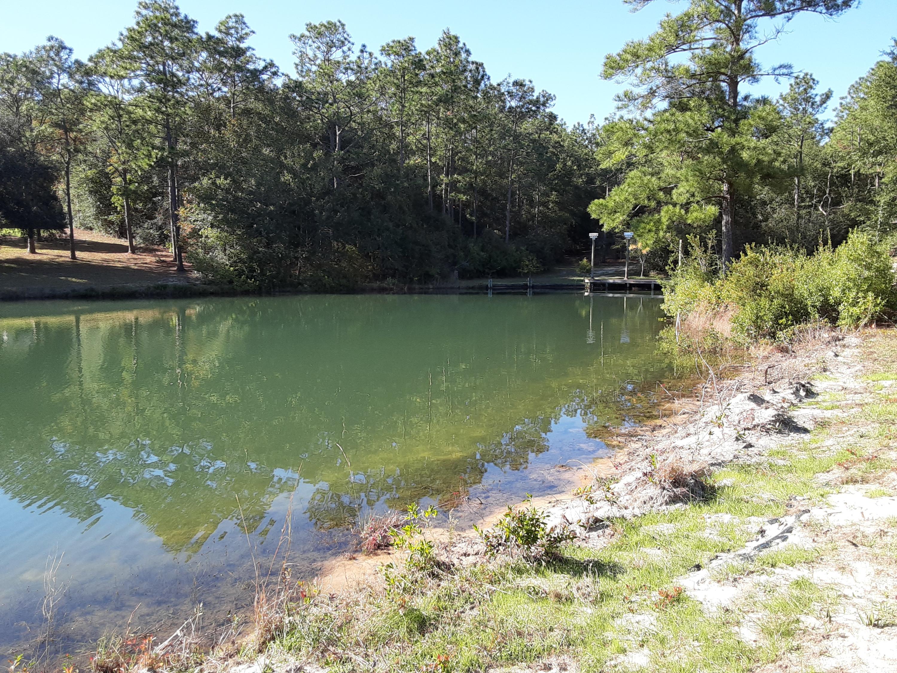 KENNEDY LAKES - Land