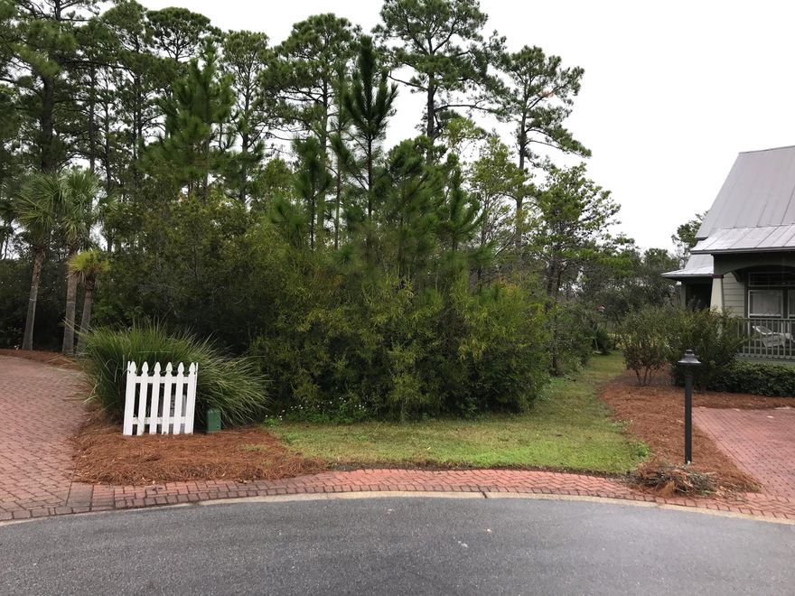 Beautiful lot on quiet cut-de-sac in Cassine Village. Close to the beach & a great investment opportunity! Very few lots are left in Cassine & rarely come up for sale. This prime lot can also be accessed from Palmetto Palm Court and Lee Place - the road behind Cassine. Large enough for home with double garage.Neighborhood boasts two pools, two tennis courts, lake and nature trails to Point Washington State Forest. Lot with house plans available. See MLS 812567 & 812586.