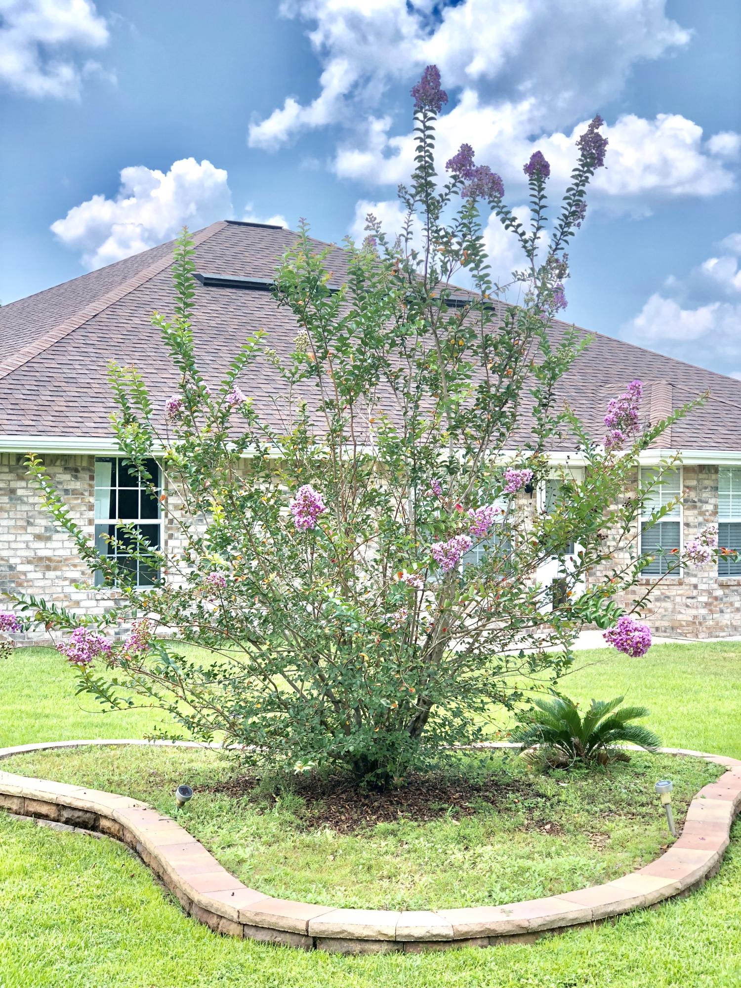 SILVER CREEK ESTATES - Residential